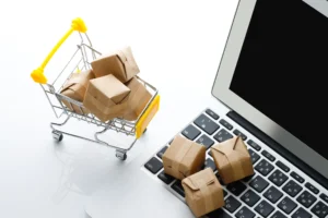 E-Commerce Mastery: Build, Launch & Grow Your Online Store